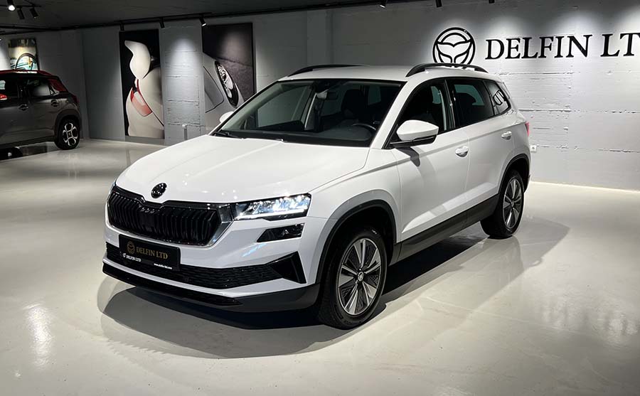 Skoda Karoq - 2022